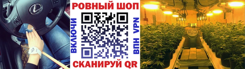 ГАШ Дно