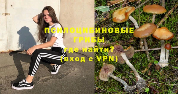 винт Верея